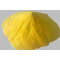 Gelbpulver Polyaluminiumchlorid/PAC für die Wasseraufbereitung
